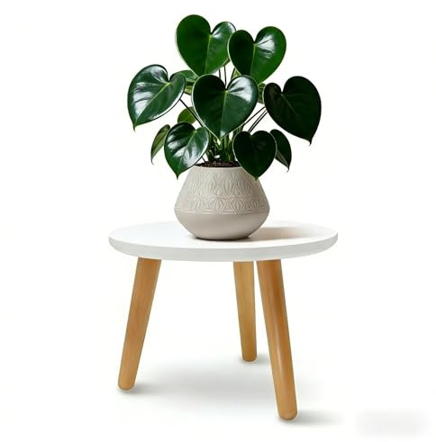 SFHKZCM Plant Stand Indoor Outdoor - Flower Pot Holder Shelf for Garden, Balcony, Living Room - 30x40cm Plant Shelf for Succulents, Herbs, Potted Plants - Rustic Warm White Wooden Storage Rack (22cm)