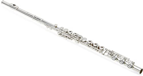 Pearl Flöte (B665RBE1RB)