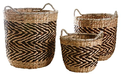 Cache-Pots en Jacinthe (Lot de 3)