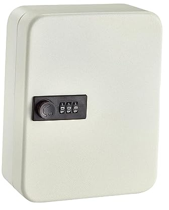 Colcolo Armoire à clés avec Code, boîte de sécurité, Armoire de Gestion des clés, Porte-clés en métal, boîte de Rangement pour clés pour Services de voiturier, Crochet 28 Blanc