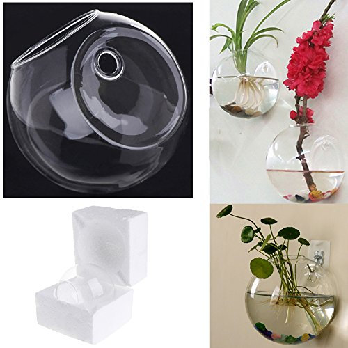 Jiamins vaso di vetro per fiori rotondo da appendere alla parete vaso decorativo terrario idroponico vaso, vaso da fiori (diametro 8 cm)