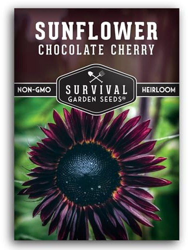 Chocolate Cherry Sunflower Seeds for Planting | Rare Burgundy Black Blooms, 6-7ft Giant Non-GMO Heirloom Flower - Survival Garden Seeds (1 Pack)