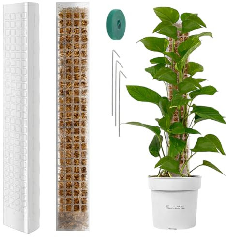 Vicloon Muschio Palo Totem, 2 Pezzi Piante Rampicanti Bastone 60cm Palo di Muschio Plastica Adatto per Piante Rampicanti da Interni ed Esterni, Bastone Muschiato per Crescere Verso L'alto