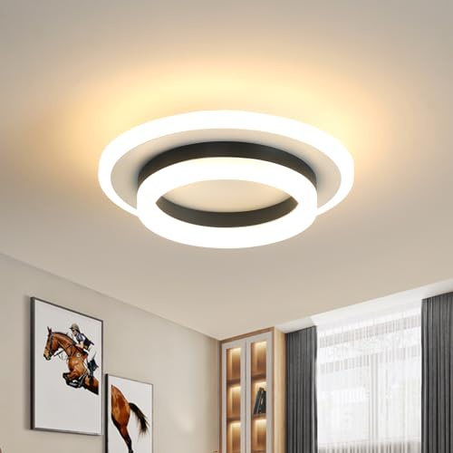 Pheashine Lámpara de Techo LED Moderno, 24W Plafon LED de Acrílico, Plafones Redonda para Salón, Cocina, Pasillo, Dormitorio, Luz Cálida 3000K