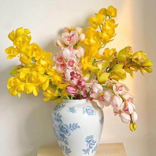 orchidea Cymbidium - selvaggio, autunno, perenne interni esotici decorazione ufficio perenni resistenti semi biologici balcone 250pcs