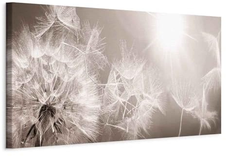 murando - Akustikbild Blitz Pusteblumen Natur, Schallschutz, Wohnzimmer | Verbessert Raumakustik, reduziert Hall, ideal fürs Büro oder Wohnzimmer, hochwertige Verarbeitung, schnelle Montage, stilvoll