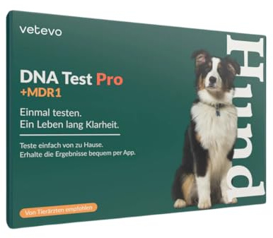 vetevo DNA Test Hund - Rassenbestimmung & MDR1 Gendefekt - 350+ Rassen | Speichelprobe bequem von zu Hause, Auswertung in der vetevo App, sorgfältige & verlässliche Laboranalyse