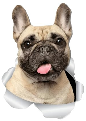 Französische Bulldogge Aufkleber 15cm(5.9 Inch) Französische Bulldogge 3D Zerrissen Aufkleber French Bulldog Wasserdichte Reflektierende Aufkleber Haustier Hund Lustig Laptop-Aufkleber Dekor