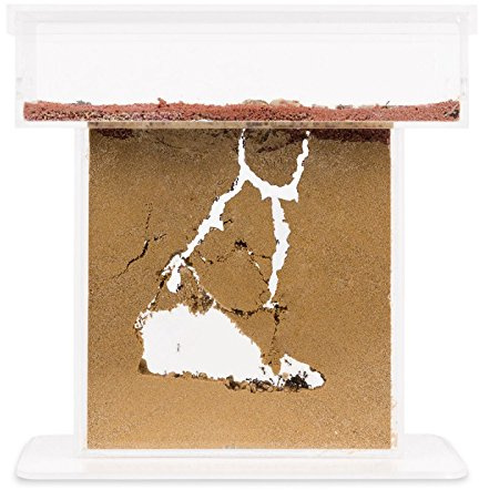 Sand Ant Farm T (Anthill, Formicarium, Educational, Ants)
