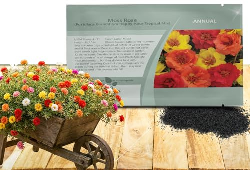 Outsidepride Tropical Mixed Moss Rose Seeds - 250 Pcs Annual, Drought & Heat Tolerant, Pollinator Friendly Ground Cover Seeds for Planting w/Vibrant Blooms & Succulent Foliage, Ideal for Xeriscaping
