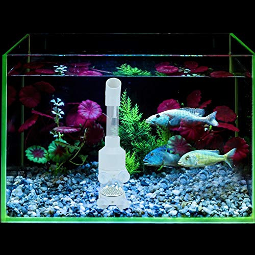 KIMISS Incubateur d'œufs de Poisson pour Cichlidés – Écloserie en Acrylique AQ50025, 25 Cm X 50 Mm pour Un Entretien Sûr des œufs