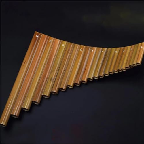 Panflöte Professionelle 22 Pfeifen Chinesische Pfannen Holzblasinstrument Panflöte Xiao Musikinstrument(G)