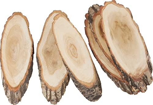VBS 6er-Pack Baumscheiben Oval 30x12cm Rindenscheiben Naturmaterial Holzscheiben