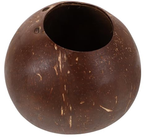 Luxshiny Fioriere Cocco Per Vasi Creativi Giardinaggio Attività Didattiche Per Design e Sostenibile