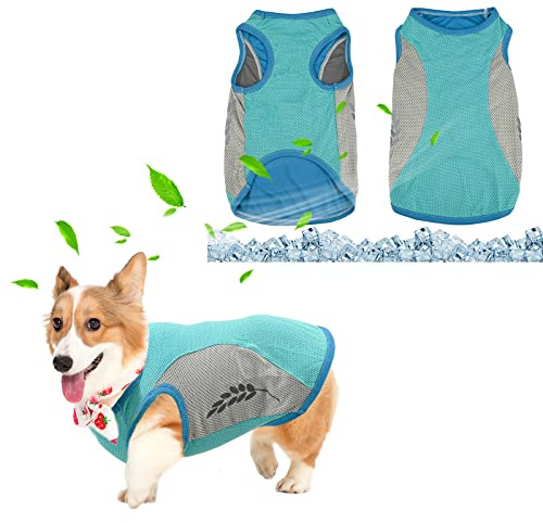 Gilet Rinfrescante per Cani,Giacca di raffreddamento per cani,Abbigliamento estivo traspirante per cuccioli con striscia riflettente,Maglietta con Gilet per cani di piccola e media taglia (2XL, Verde)