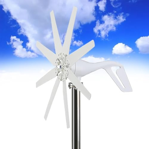 Eastnmythet Aerogenerador de 12000 W con Controlador MPPT, Kit de generador de turbina eólica para Uso doméstico, Molino de Viento de 8 aspas y Bajas revoluciones para RV,10000W-12V