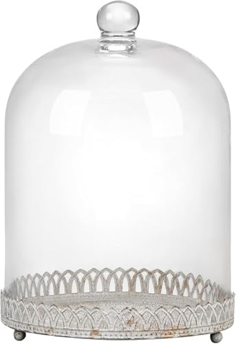14 Tall Large Sturdy Handmade Glass Cloche Dome with Metal Base in Shabby White for Plant, Terrarium, Collectibles, Candle. Cloche Glass Dome, Bell Jar Display Case (White Shabby Metal Base, 14)