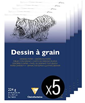 Clairefontaine 96023C - Packung mit 5 Blöcken geleimt Zeichenpapier gekörnt, 20 Blatt DIN A4, 224g, weiß, 1 Pack