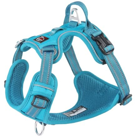 LALAZOO Montana Hundegeschirr No Pull für Hunde – Türkis S