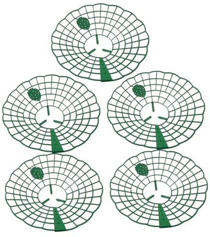 SOIMISS 5 Piezas Soporte para Fresas de Plástico Resistente Soporte para Plantas Trepadoras Protección de Fresas para Jardinería Exterior