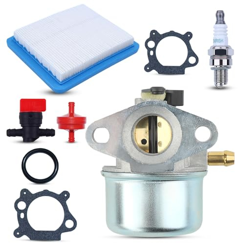 AUMEL 799868 Carburateur Set pour Briggs & Stratton avec bougie d'allumage filtre à air joint soupape universelle filtre à huile 498170 497586 497314 491588