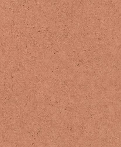 Rasch Tapeten 520880 - Rost-Rote Vliestapete mit Betonoptik aus der Kollektion Concrete - 10,05m x 0,53m (LxB)