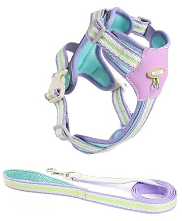 Small Dog Harness and Lead Set – No-Pull Adjustable Vest,Reflective & Breathable Design, Lightweight Comfort for Puppies, Daily Walks,Training, Outdoor Travel(S)