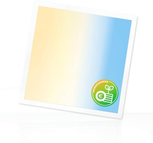 Xtend EcoLight LED Panel 62x62cm 3CCT 3000K 4000K 6000K 25W Rasterleuchte 4000lm Deckenleuchte flimmerfrei Netzteil Energieeffizient Backlit