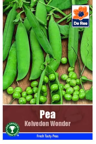 Vegetable Seeds for Growing Pea Kelvedon Wonder 45 Seeds Grow Your Own Garden Vegetable Salad Herb Seed