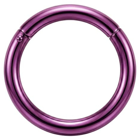 AZARIO LONDON Purple Anodized 14 Gauge - 8MM Diameter 316L Surgical Steel Hinged Segment Nose Ring Piercing