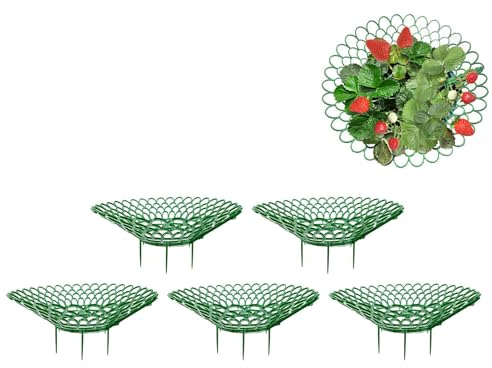 10 Stück Strawberry Supports | Erdbeer-Stütze | Erdbeer-Pflanzenstütze | Erdbeer-Wachstumskäfig, Topfpflanzenständer Für Den Balkon, Schutz von Erdbeerpflanzen vor Schimmel, Fäulnis und Schmutz