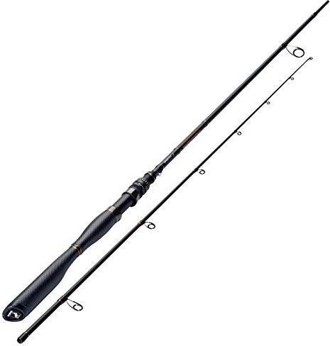 Sportex Carat GT-S Spin CC2401 2,40m 11-28g 2 Teile Rute