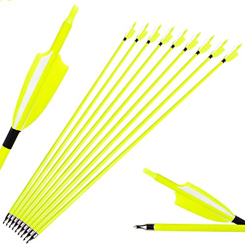 SHARROW Bogenschießen Carbonpfeile 30 Zoll Jagdpfeile Bogenpfeile Pfeile für Bogen Spine 500 mit Natürliche Feder für Außenaufnahmen (12 Stück, Fluoreszierendes Gelb)