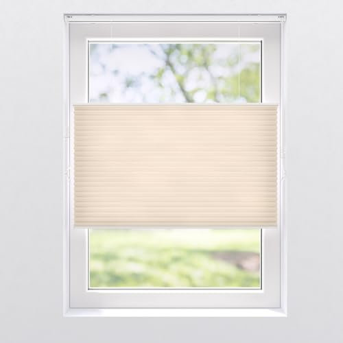 Plissee Top Down Bottom UP (TDBU) lichtfilternd beige 110x175