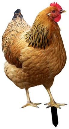 Fenteer Piqûte Métal Poule Décoratif 31.5x17.4x0.1cm