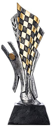 Trophée de course automobile - Coupe du vainqueur des sports mécaniques Statue de la victoire Gokart Cérémonie de remise des prix 26cm modélisé avec soin & peint à la main (Coupe du vainqueur)