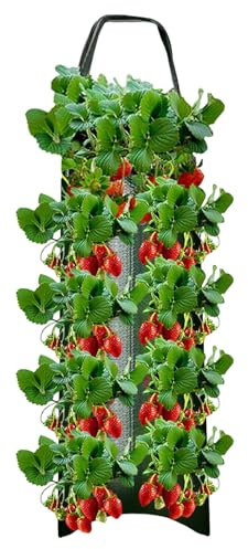 Borsa Per Coltivazione Fragole, 4/6/8/10 Buchi Sacco Per Piantare Fragole Da Appendere, Sacchetto Di Piantagione, Sacchis Piante Per Coltivazione Piantare Verdure Fiori A Casa Giardino Balcone