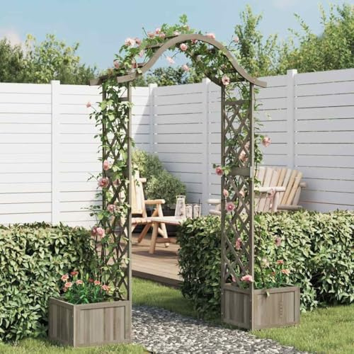 LoogCape Pérgola de jardín con jardinera de madera maciza de abeto gris, resistente a la intemperie, ideal para enrejado, paso, protección visual, planta, flor, vino, hiedra, clemátide, jardín, balcón