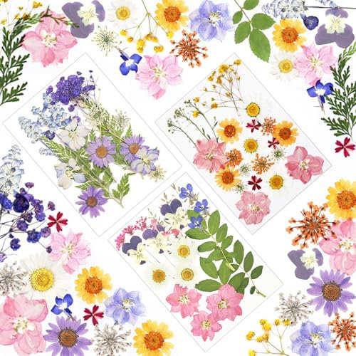Fiori Secchi per Resina e Candele, 66 Pezzi Naturali Pressati - DIY Scrapbooking Artigianato