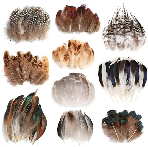 300 Stück Federn zum Basteln Set, Bastel Federn in 10 Designs | Mehrfarbige Bastelfedern Mix für Hochzeit, Masken Bastler & Floristen für Kränze, Hüte, Schmuck 300 in 10 Designs