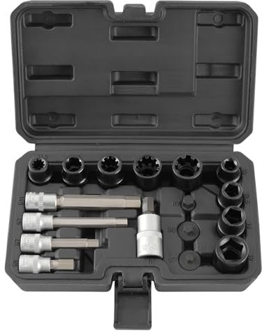 TECPO Bremssattel Steckschlüssel Set, 17-teilig Nuss Bit Einsatz Satz Bremsen Werkzeug kompatibel mit Audi, BMW, Ford, Mercedes, Opel, Porsche, VW