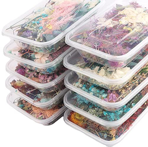 Fleurs séchées naturelles ulapithi, Lot de petites fleurs colorées, pour résine époxy, bougies, artisanat, 1 boîte de 10 types de fleurs séchées aléatoires, séchées au hasard