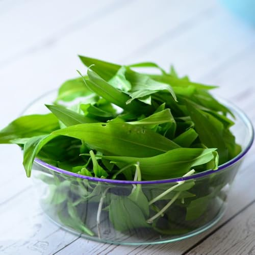 Semillas de ajo silvestre orgánico Las de ajo silvestre son resistentes semillas de Las perennes son 50pcs