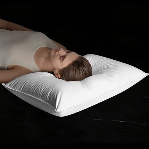 Baigee Goose Down Pillow Queen Size, Luxury Hotel Collection Bed Pillow for Sleeping，3-Chamber Design，Downproof，100% Cotton Shell (White, 20x30)