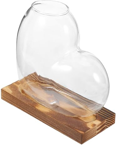 Levemolo Terrarium en Verre Transparent avec Base en Bois Vase Hydroponique pour Propagation des Plantes D’Intérieur Support de Propagation pour Plantes Vertes Décoration Naturelle et