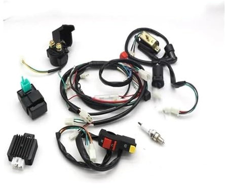 Motorradzündung Für Motorspule Für 50cc 110cc 120cc Dirt Bike Motorrad Motoren CDI Zündung Kabelbaum CDI Zündspule Kits(D Set)