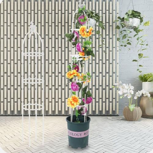 GLMGBP Traliccio per obelisco da Giardino per Piante rampicanti da Esterno 22x95 cm 22x120 cm 22x145 cm 1 Supporto per Piante in Vaso, Rose, Viti, Supporto per Montaggio Facile (Colore: Bianco, Dim