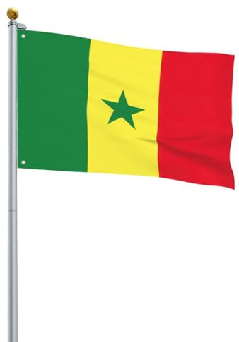 Drapeau du Sénégal - 0,9 x 0,6 m - Drapeau décoratif simple face pour la journée nationale de la culture en plein air
