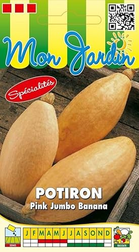 Sachet de graines de Potiron Pink Jumbo Banana - 3 g - légume fruit - LES GRAINES BOCQUET