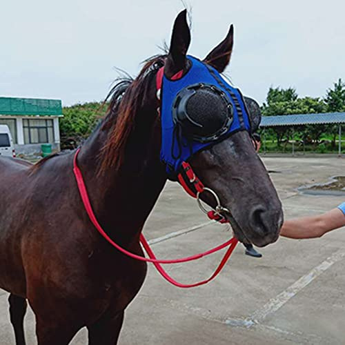 WZCXYX Gurtversorgung Kabelbaumdeckel Winddichte Schutzbrillen Geschwindigkeitsrassebrillen Mit Mesh-Brillen Anti-trachom-Cover-Horse-Kopfbedeckung(Color:Blau)